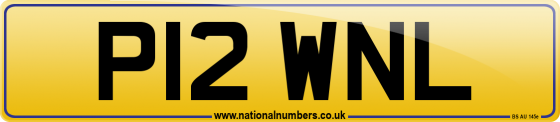 P12 WNL