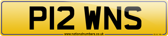 P12 WNS