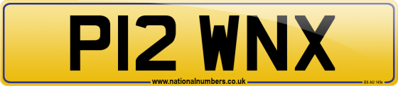 P12 WNX