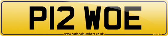 P12 WOE