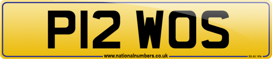 P12 WOS