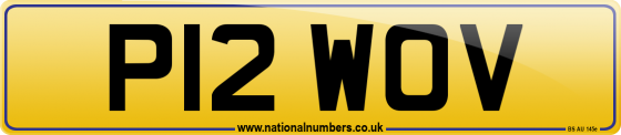 P12 WOV