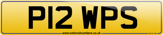 P12 WPS