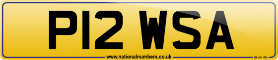 P12 WSA