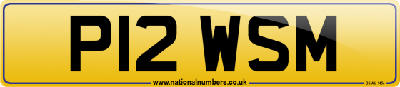 P12 WSM
