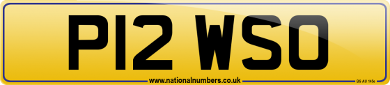 P12 WSO