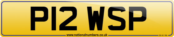 P12 WSP