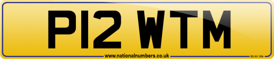 P12 WTM
