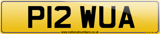 P12 WUA