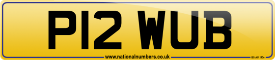 P12 WUB