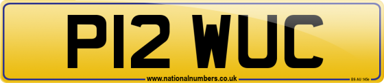 P12 WUC