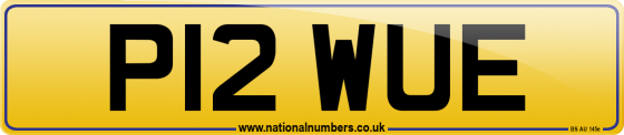 P12 WUE
