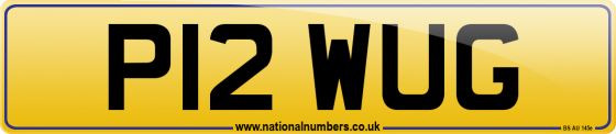 P12 WUG