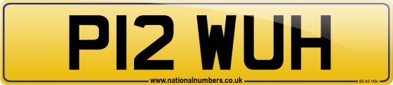 P12 WUH