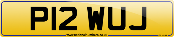 P12 WUJ