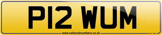 P12 WUM