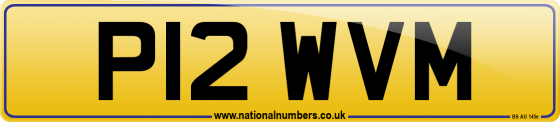 P12 WVM