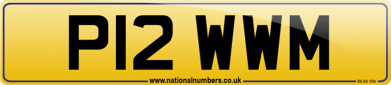P12 WWM