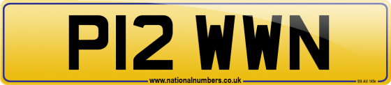 P12 WWN