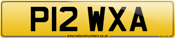 P12 WXA