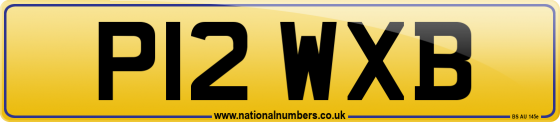 P12 WXB