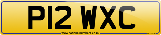 P12 WXC