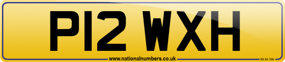 P12 WXH