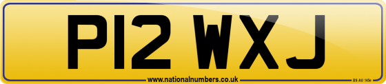 P12 WXJ