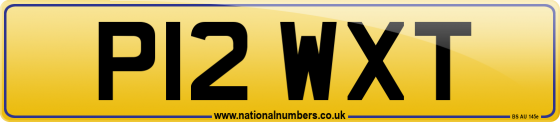 P12 WXT