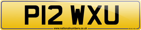 P12 WXU