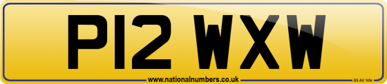 P12 WXW