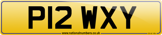 P12 WXY