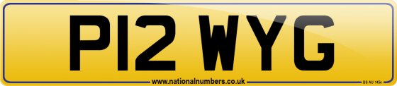 P12 WYG