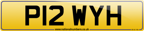 P12 WYH