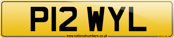 P12 WYL