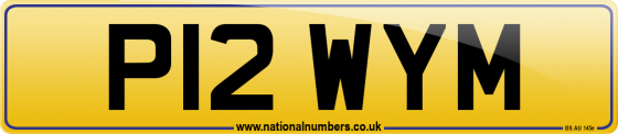 P12 WYM