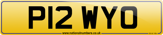 P12 WYO