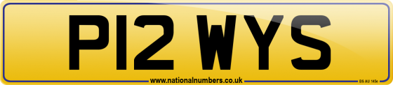 P12 WYS