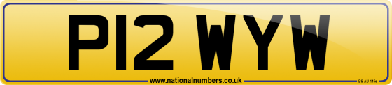 P12 WYW
