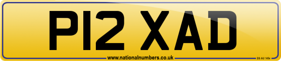 P12 XAD
