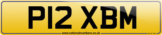 P12 XBM