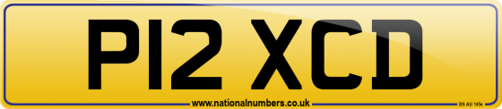 P12 XCD