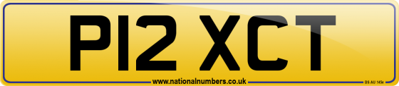 P12 XCT
