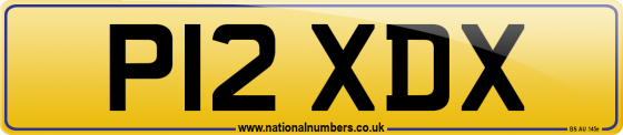 P12 XDX