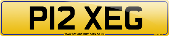 P12 XEG