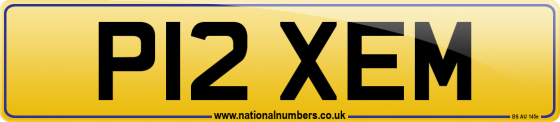 P12 XEM