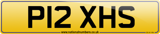 P12 XHS