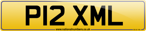 P12 XML