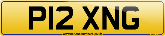 P12 XNG