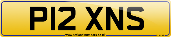 P12 XNS